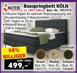 Norma Boxspringbett Köln Angebot