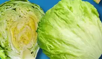 Aldi Süd Bestes aus der Region Eisbergsalat Angebot