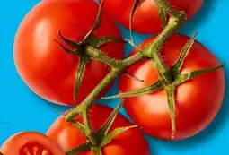Aldi Süd Mini Rispentomaten XXL Angebot