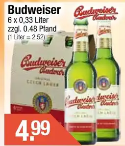 Getränke City Budweiser budweiser Angebot
