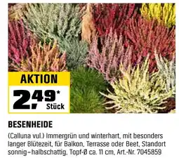OBI Besenheide Angebot