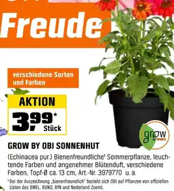 OBI Grow by obi sonnenhut Angebot