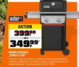 OBI Weber gasgrill spirit e-210 Angebot