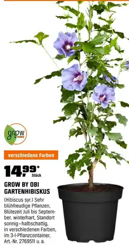 OBI Grow by obi gartenhibiskus Angebot