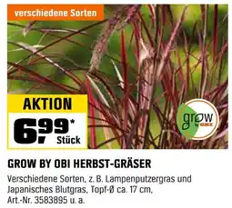 OBI Grow by obi herbst-gräser Angebot