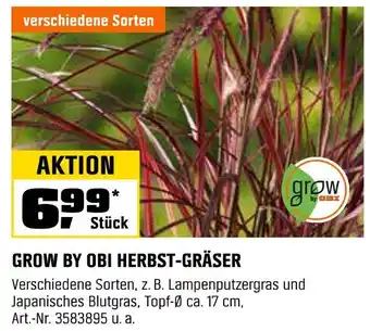OBI Grow by obi herbst-gräser Angebot