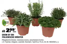 OBI Grow by obi italienische kräuter Angebot