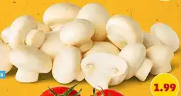 PENNY Deutsche weiße Champignons Angebot