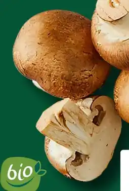 Aldi Süd Gut Bio Bio-Champignon Angebot