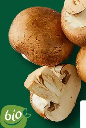 Aldi Süd Gut Bio Bio-Champignon Angebot