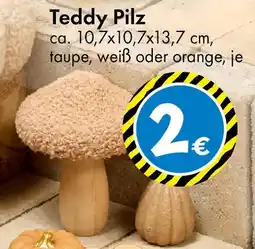 TEDi Teddy Pilz Angebot