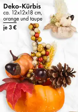 TEDi Deko-Kürbis Angebot