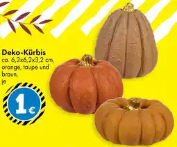 TEDi Deko-Kürbis Angebot