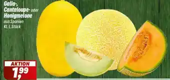 Simmel Galia, Cantaloupe-oder Honigmelone Angebot