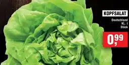 Handelshof Kopfsalat Angebot