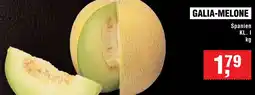 Handelshof Galia-melone Angebot