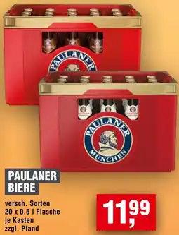 Handelshof Paulaner biere Angebot