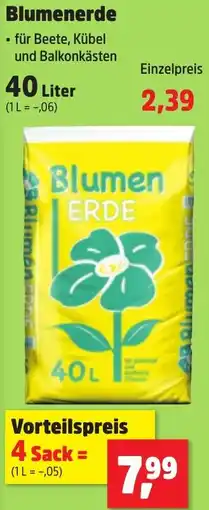 Thomas Philipps Blumenerde Angebot