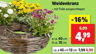 Thomas Philipps Weidenkranz Angebot