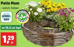 Thomas Philipps Patio Mum Angebot