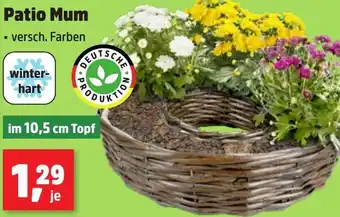 Thomas Philipps Patio Mum Angebot