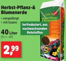 Thomas Philipps Herbst-Pflanz- & Blumenerde Angebot