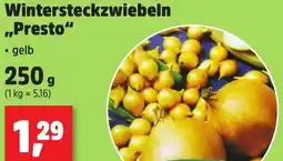 Thomas Philipps Wintersteckzwiebeln ,,Presto" Angebot