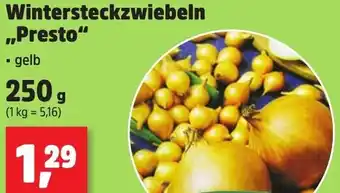 Thomas Philipps Wintersteckzwiebeln ,,Presto" Angebot