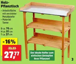 Thomas Philipps Holz Pflanztisch Angebot