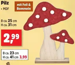 Thomas Philipps Pilz Angebot