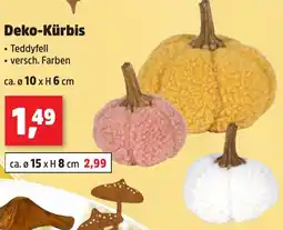 Thomas Philipps Deko-Kürbis Angebot