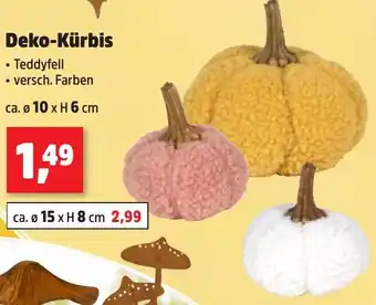 Thomas Philipps Deko-Kürbis Angebot