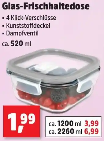 Thomas Philipps Glas-Frischhaltedose Angebot