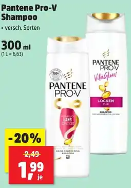 Thomas Philipps Pantene Pro-V Shampoo Angebot
