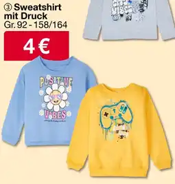 Woolworth Sweatshirt mit Druck Angebot