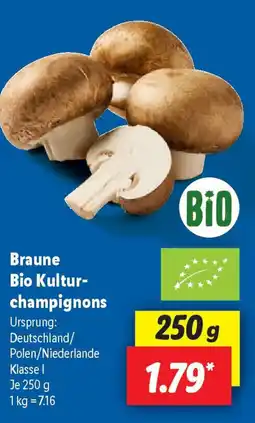 Lidl Braune Bio Kultur- champignons Angebot