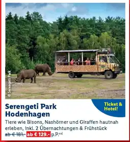 Lidl Serengeti Park Hodenhagen Angebot
