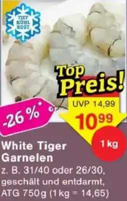 Jawoll White Tiger Garnelen Angebot