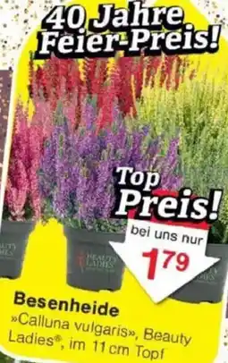 Jawoll Besenheide Angebot