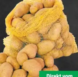 Thomas Philipps Speisekartoffeln Angebot