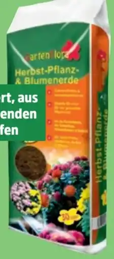 Thomas Philipps Gartenflora Herbst-Pflanz-& Blumenerde Angebot