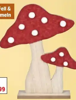 Thomas Philipps Deko-Pilz Angebot