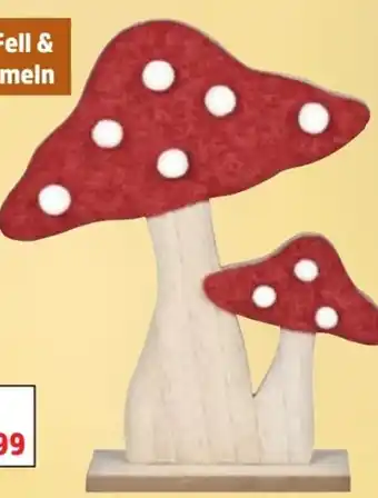 Thomas Philipps Deko-Pilz Angebot
