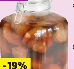 Thomas Philipps Drahtbügelglas XXL Angebot