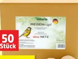 Thomas Philipps Volaris Meisenknödel Angebot