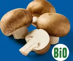 Lidl Bio Kulturchampignons Angebot