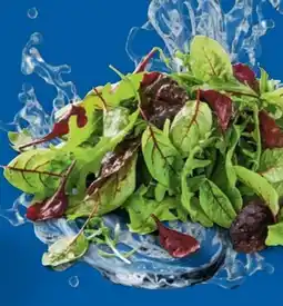 Lidl Mix-Salate Angebot