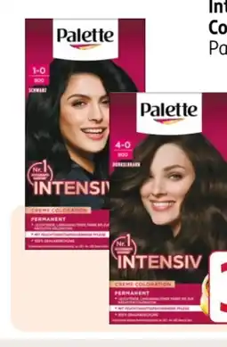 Rossmann Palette Intensive-Creme-Coloration Angebot