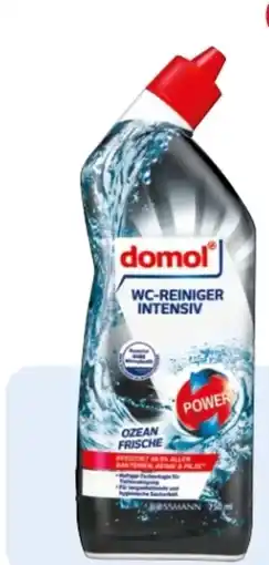 Rossmann Domol WC-Reiniger Intensiv Angebot