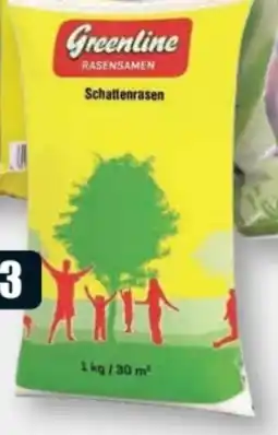 B1 Discount Baumarkt Greenline Rasensamen Schattenrasen Angebot